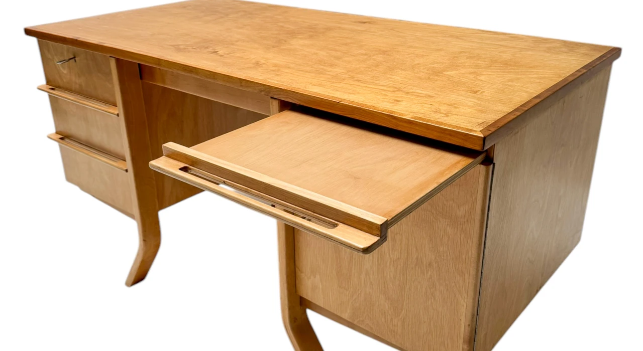 Mid-Century Modern EB04 Desk by Cees Braakman for Pastoe, 1950s
